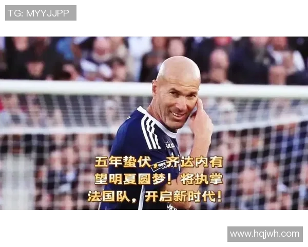 齐达内职业生涯是否拥有法甲冠军的深度剖析与历史回顾